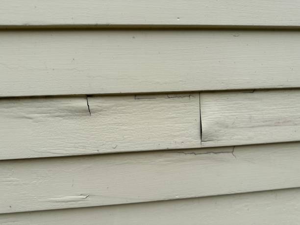 Professional Siding Installation in Mitchell, IL